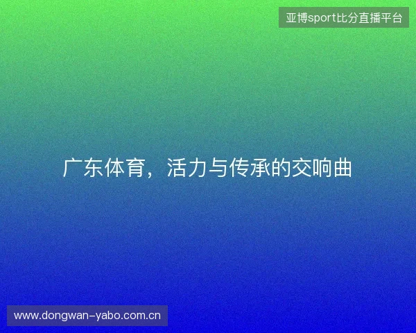 广东体育，活力与传承的交响曲